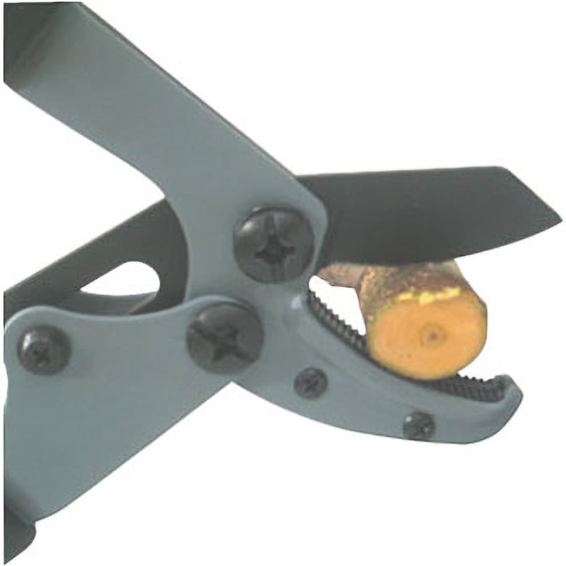 OHMICH OMS-E812C 製菓器具 100V 500W 肉切り器具 OHMICH OMS-E812C