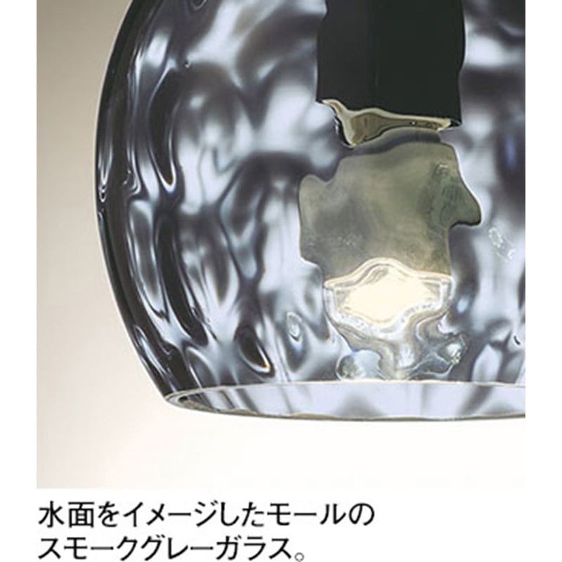 OP252989LR 高演色LED ペンダントライト ODELIC(オーデリック) 電球色