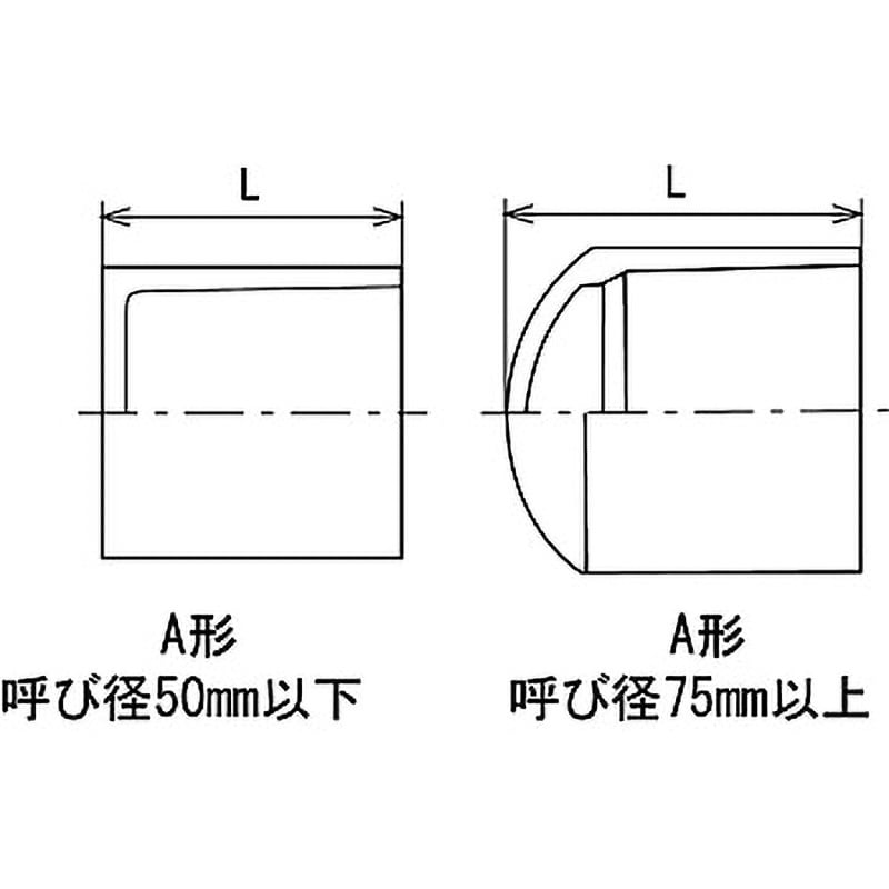 人気 tsキャップ 13