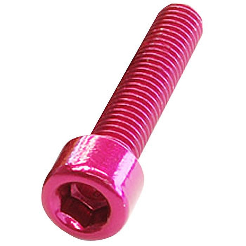 TL-105B-630 ステンレスカラーボルト(M6×30) FF-R(エフエフ