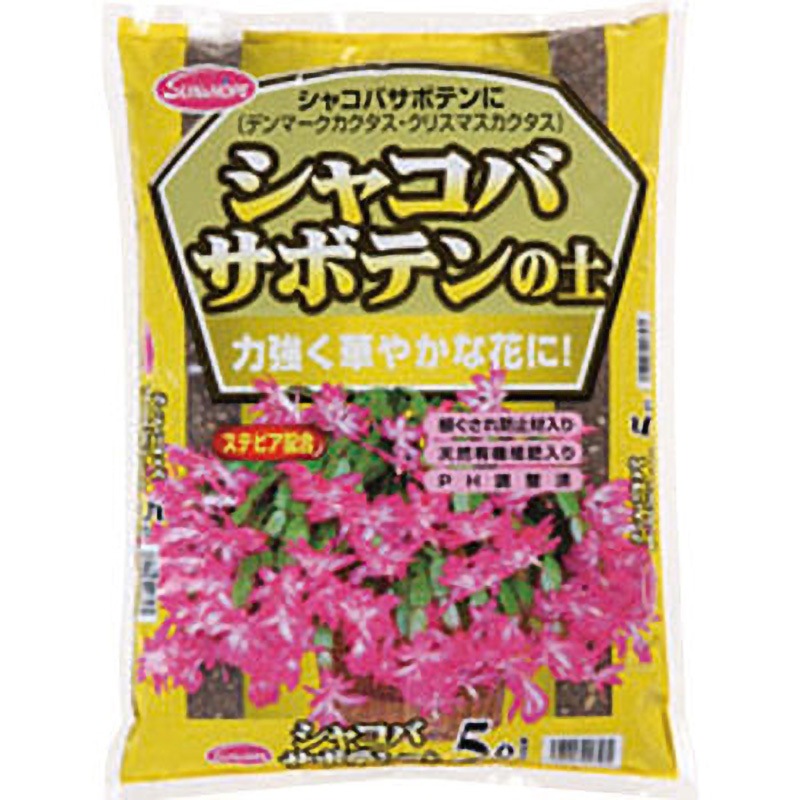 多肉植物 シャコバサボテン サンジタ シャコバサボテン デンマークカクタス 多肉植物 観葉植物