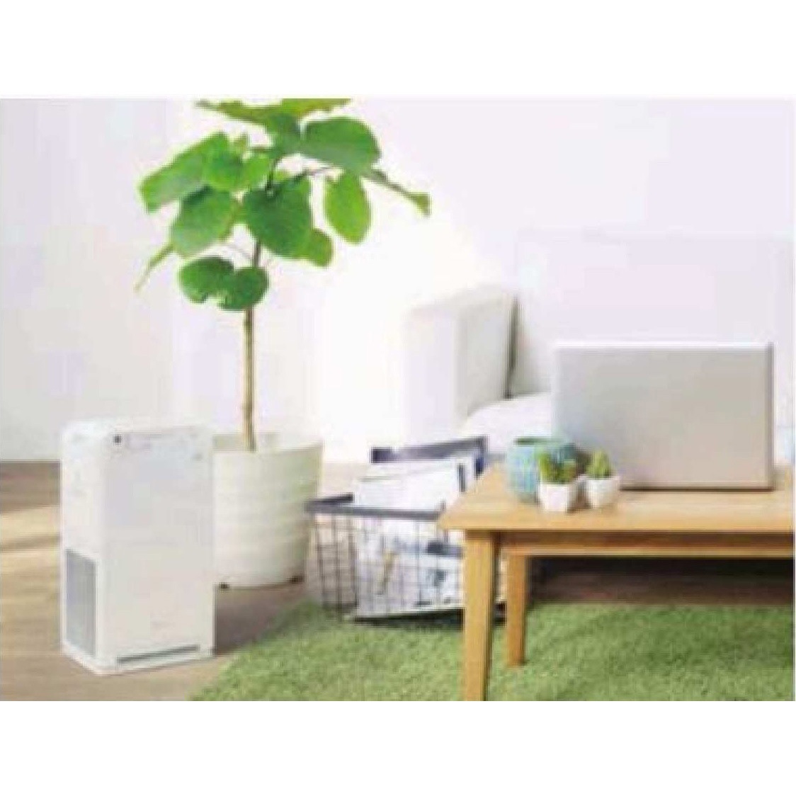 ACM555A-W ストリーマ空気清浄機 ダイキン工業 ホワイト色