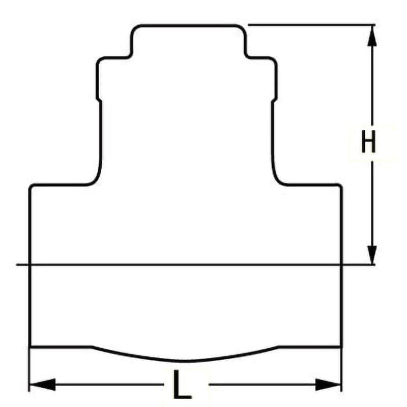 R-15A 青銅製スイングチャッキバルブ125型(Rシリーズ) キッツ(KITZ) ねじ込み形 呼び径(B)1/2 R-15A - 【通販モノタロウ】