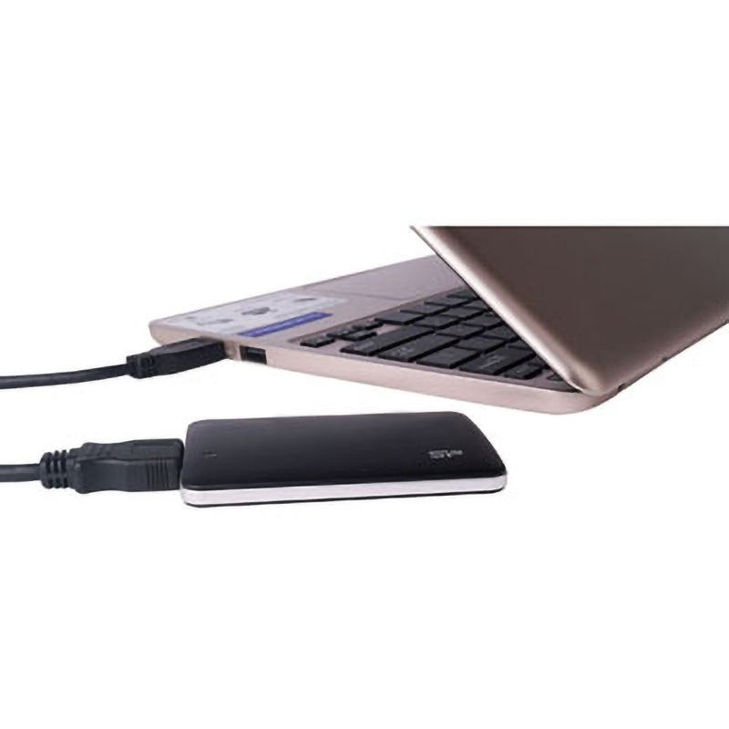 在庫処分セール 言い換え ポータブルSSD SP256GBPSDB10SBK Bolt シリコンパワー B10 外付けハードディスク・ドライブ