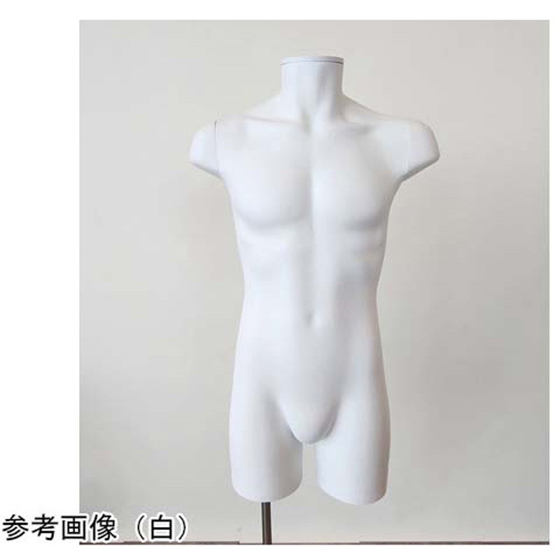 トルソー　マネキン 61-810-41-2 PP製 紳士トルソー M 61-810-41シリーズ 1個 アズワン