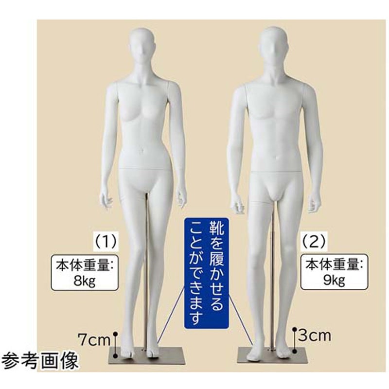 61-810-49-2 全身腰受けリアルマネキン 61-810-49シリーズ 1個