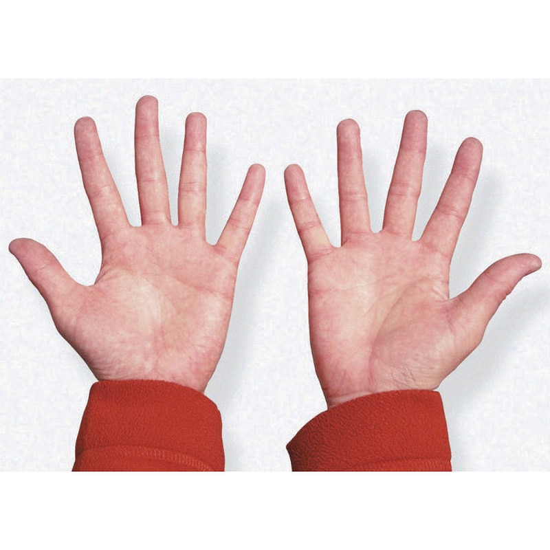 2286 NEWシトラスクリーン ハンドクリーナー 呉工業(クレ) スクラブ