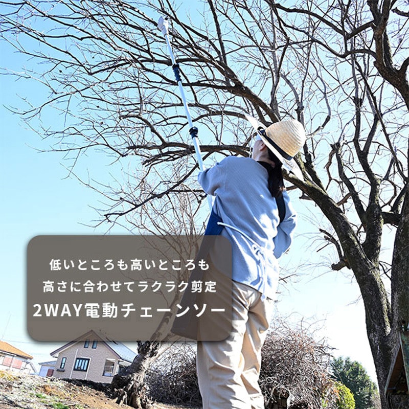 唯一。山採りソヨゴ。 YPC-180 高枝切り電動チェーンソー 2WAY 充電式 最大切断約180mm