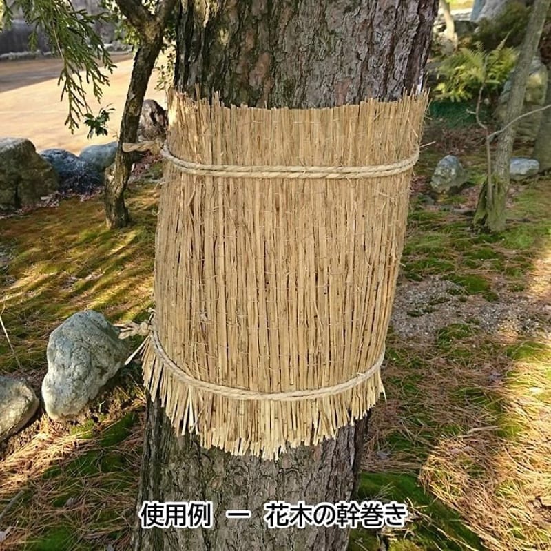KM3 わらこも 約105cm×約180cm 約1.2kg 1セット 臼井農畜産