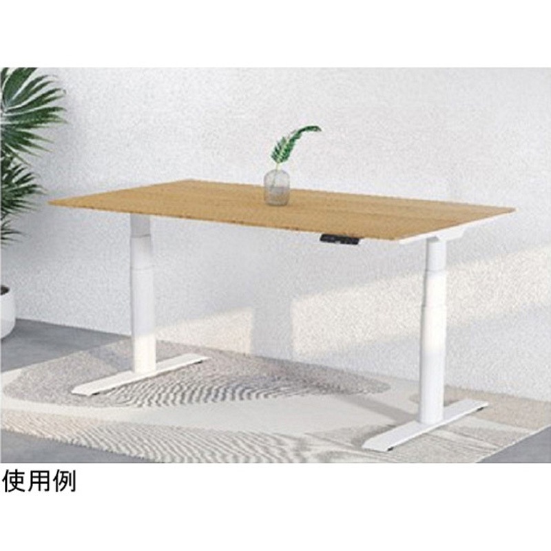 E8WJA+DR1206BB 電動昇降デスク E8シリーズ 1台 FlexiSpot 【通販