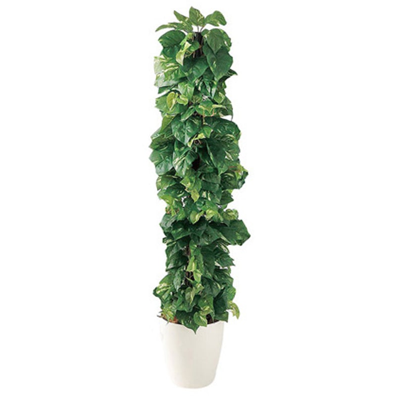 935-631 造花グリーン 935シリーズ 1個 アズワン 【通販モノタロウ】