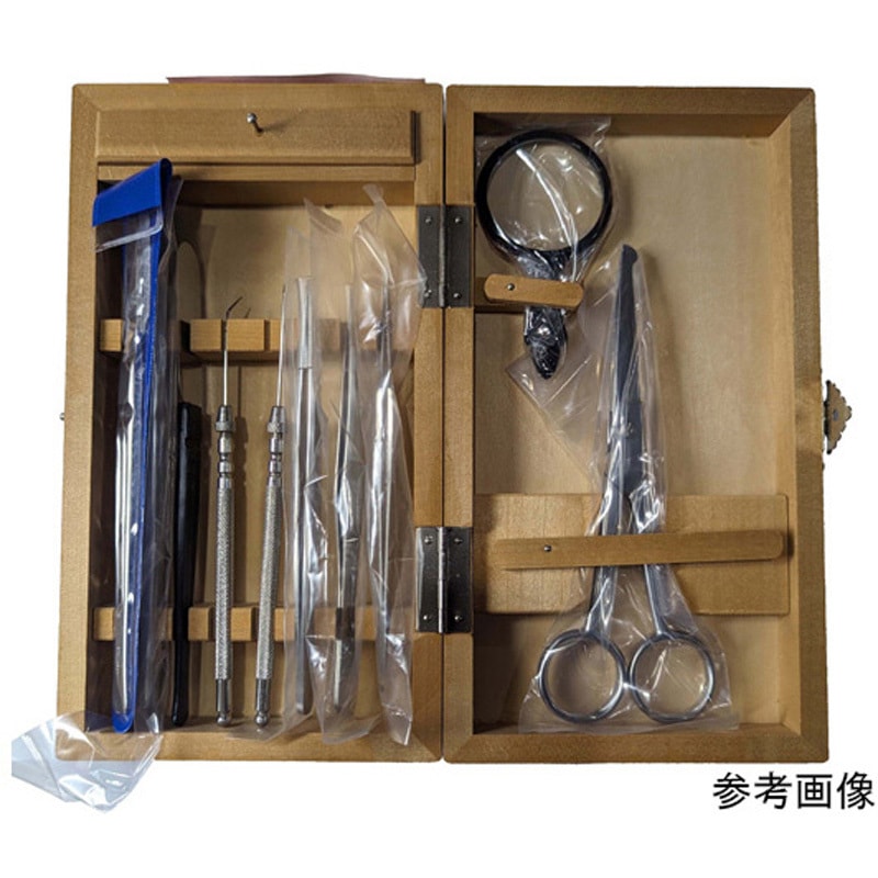 解剖セット 教師用木箱入 志賀昆虫普及社 人体/標本/生物 【通販