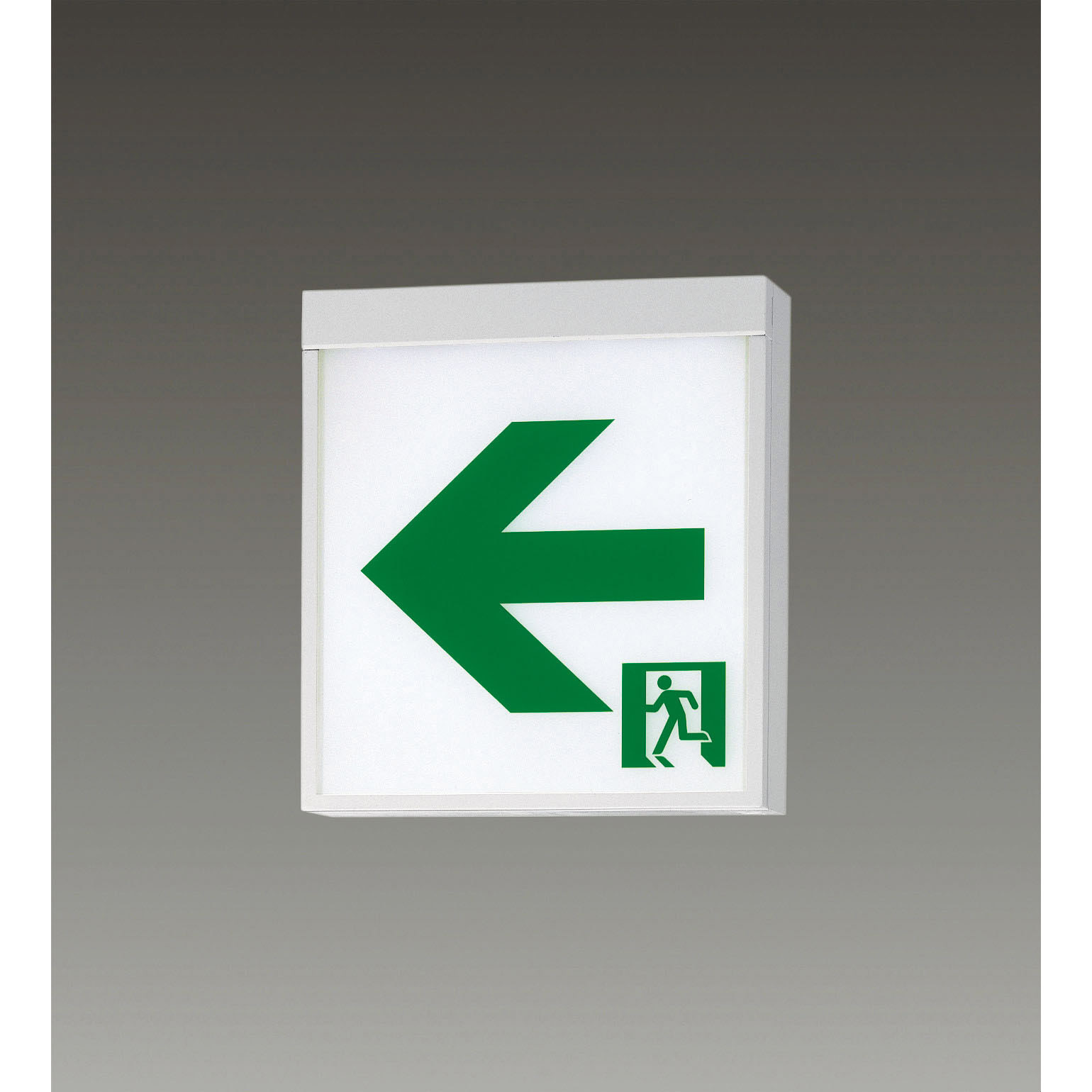 FA10322CLE1 LED誘導灯C級両面直付 Panasonic(パナソニック) 一般型(20