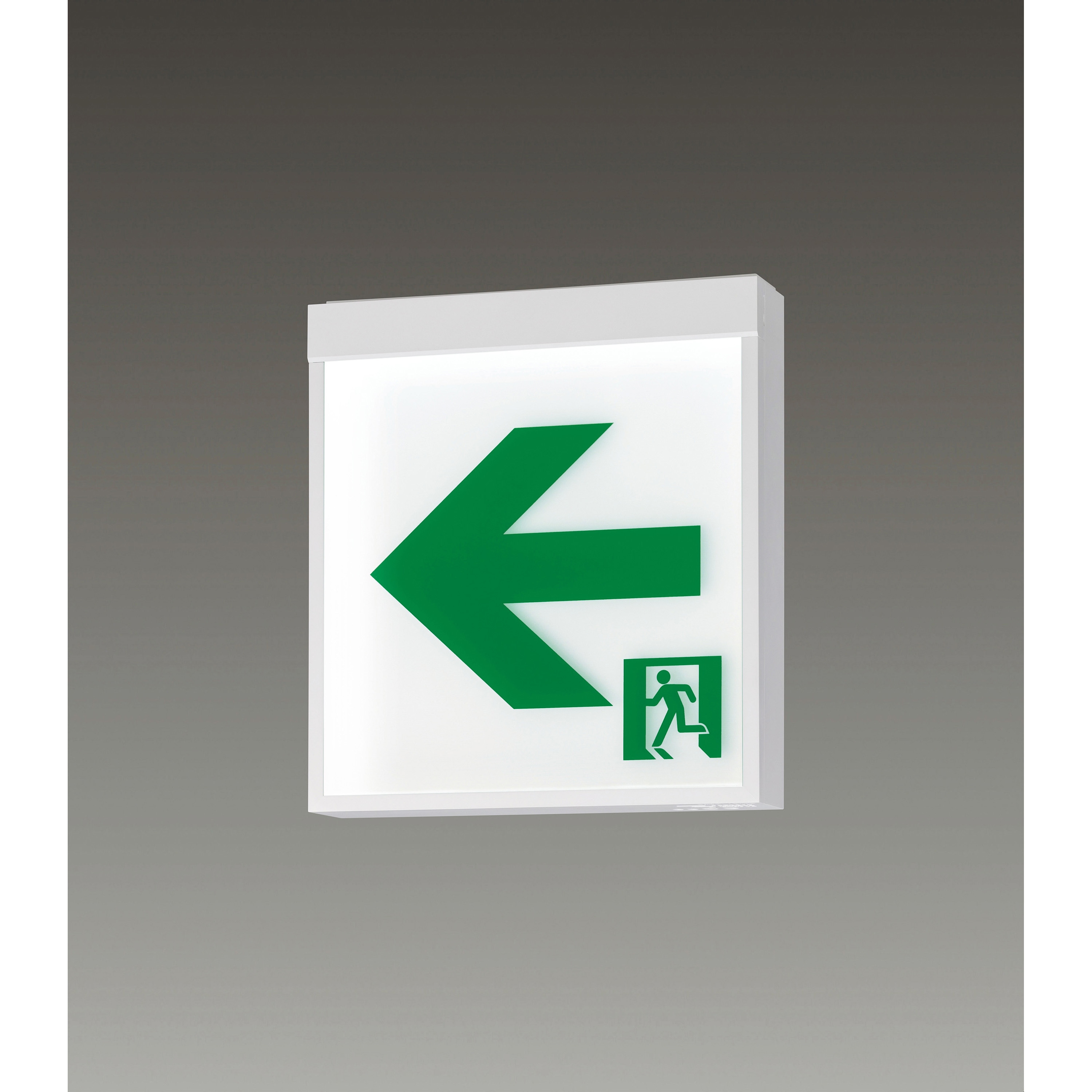 FA20312CLE1 LED誘導灯B級BL片面直付 Panasonic(パナソニック
