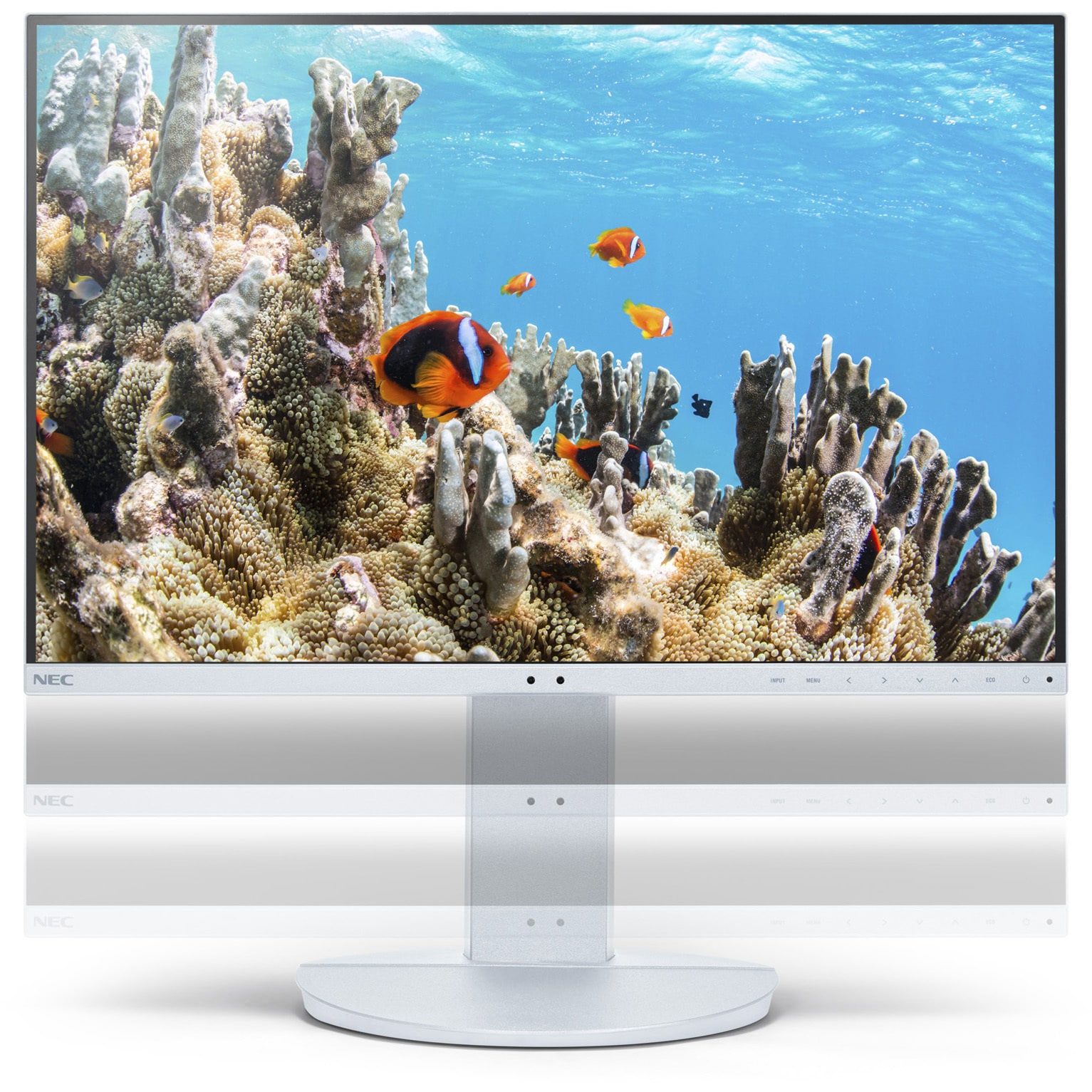 LCD-EA242WU 24型USB Type-C対応3辺狭額縁ワイド液晶