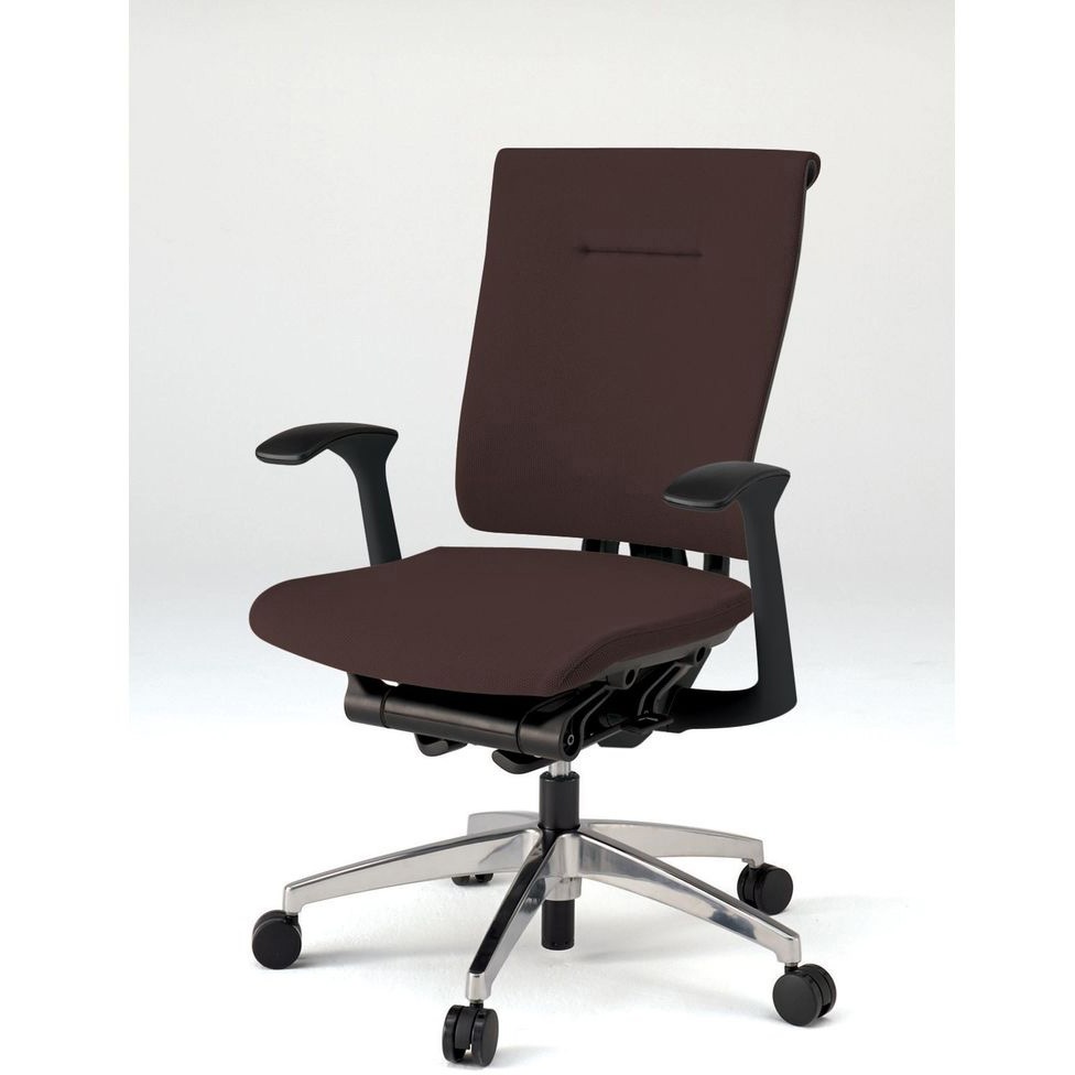 KF-545GS-ZTH2 セレーオチェア クロスバック セレクトタイプ 固定肘 アルミミラー脚<配送時組立サービス付> 1台 イトーキ 【通販モノタロウ】 65,890円