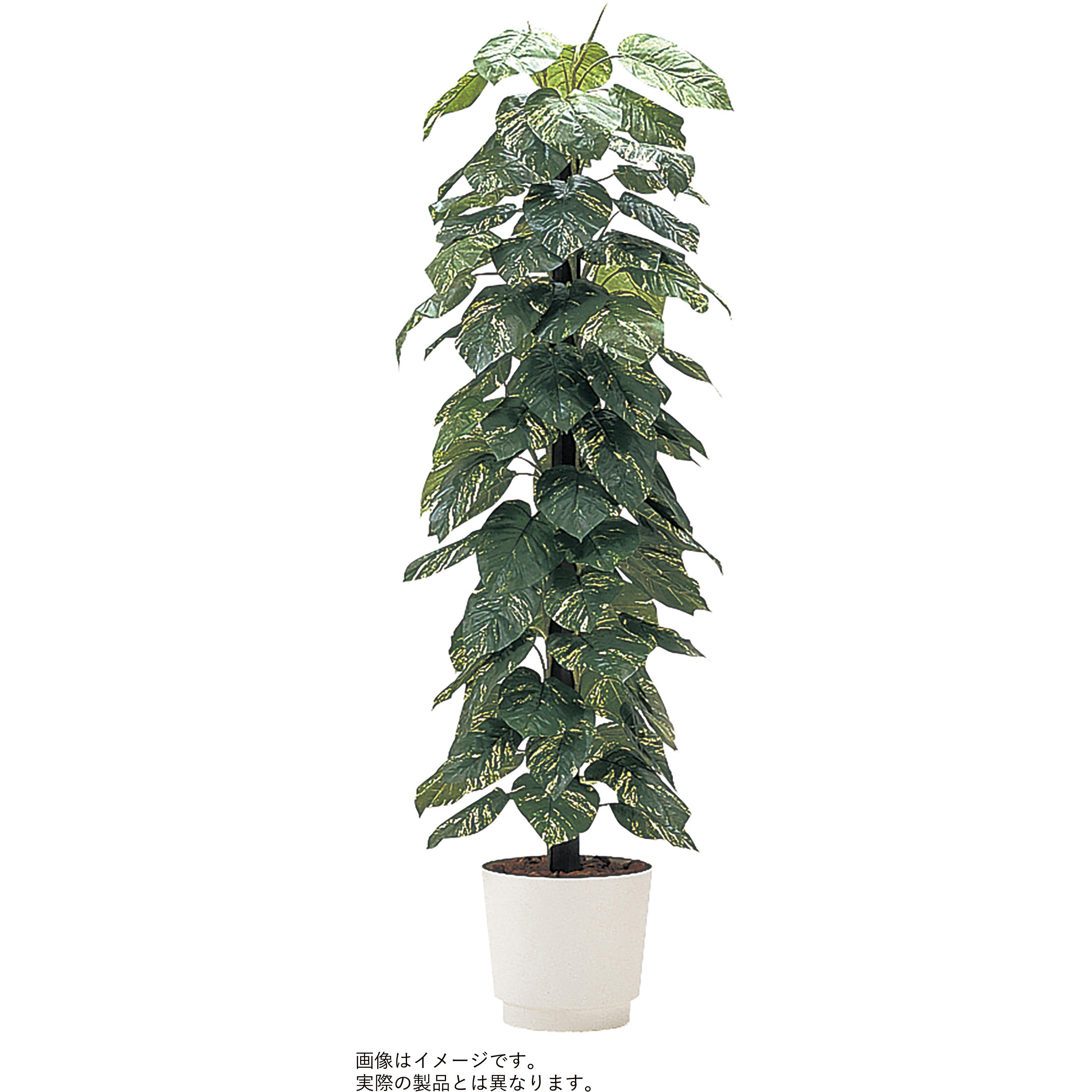 VWR-022 人工樹木カレン ジャイアントポトス H1500<配送時組立サービス付> イトーキ 奥行270mm幅270mm  VWR-022