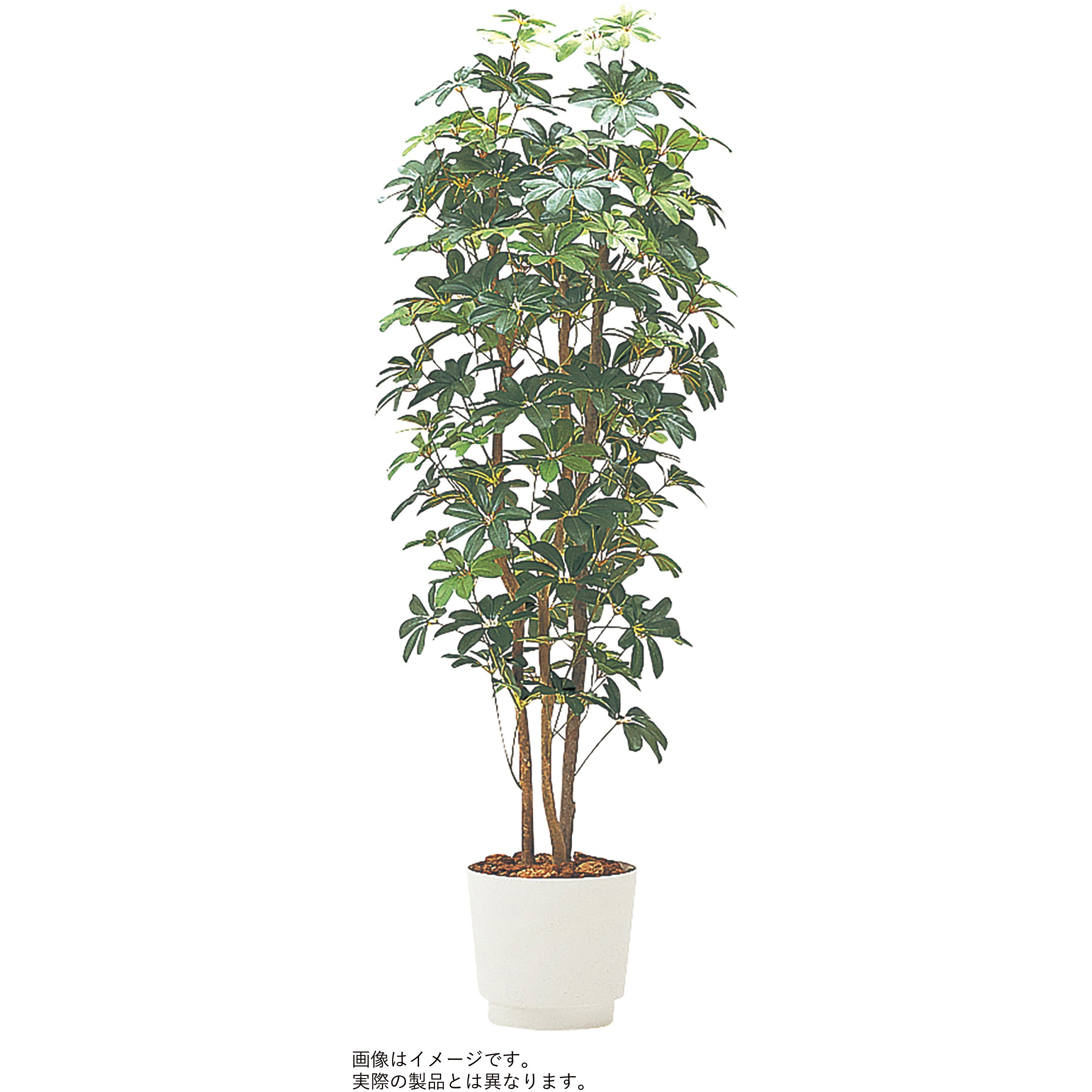 VWR-043 人工樹木カレン カポック H1500<配送時組立サービス付> イトーキ 奥行270mm幅270mm  VWR-043