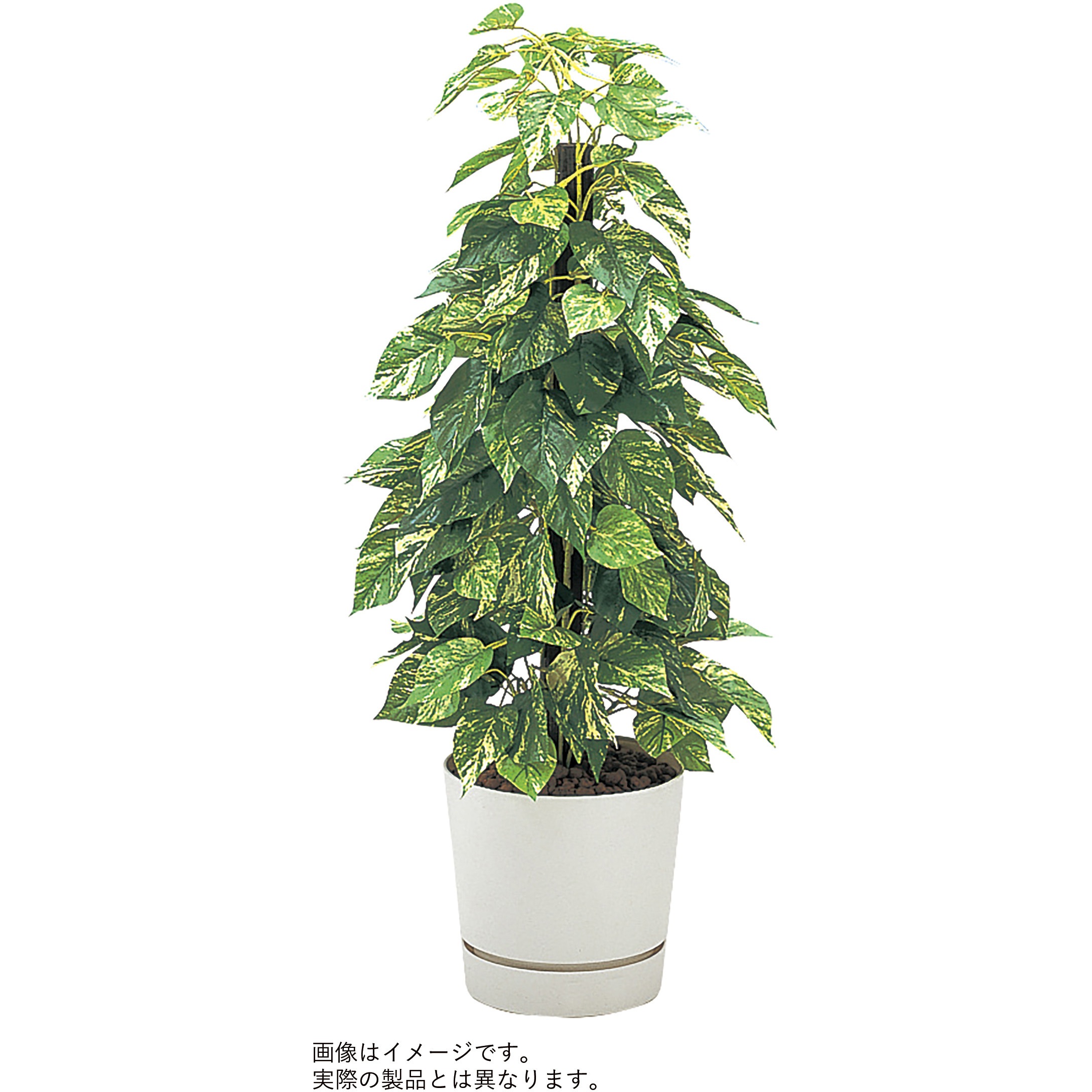 VWR-215 人工樹木カレン ポトス H600<配送時組立サービス付> イトーキ 奥行270mm幅270mm  VWR-215