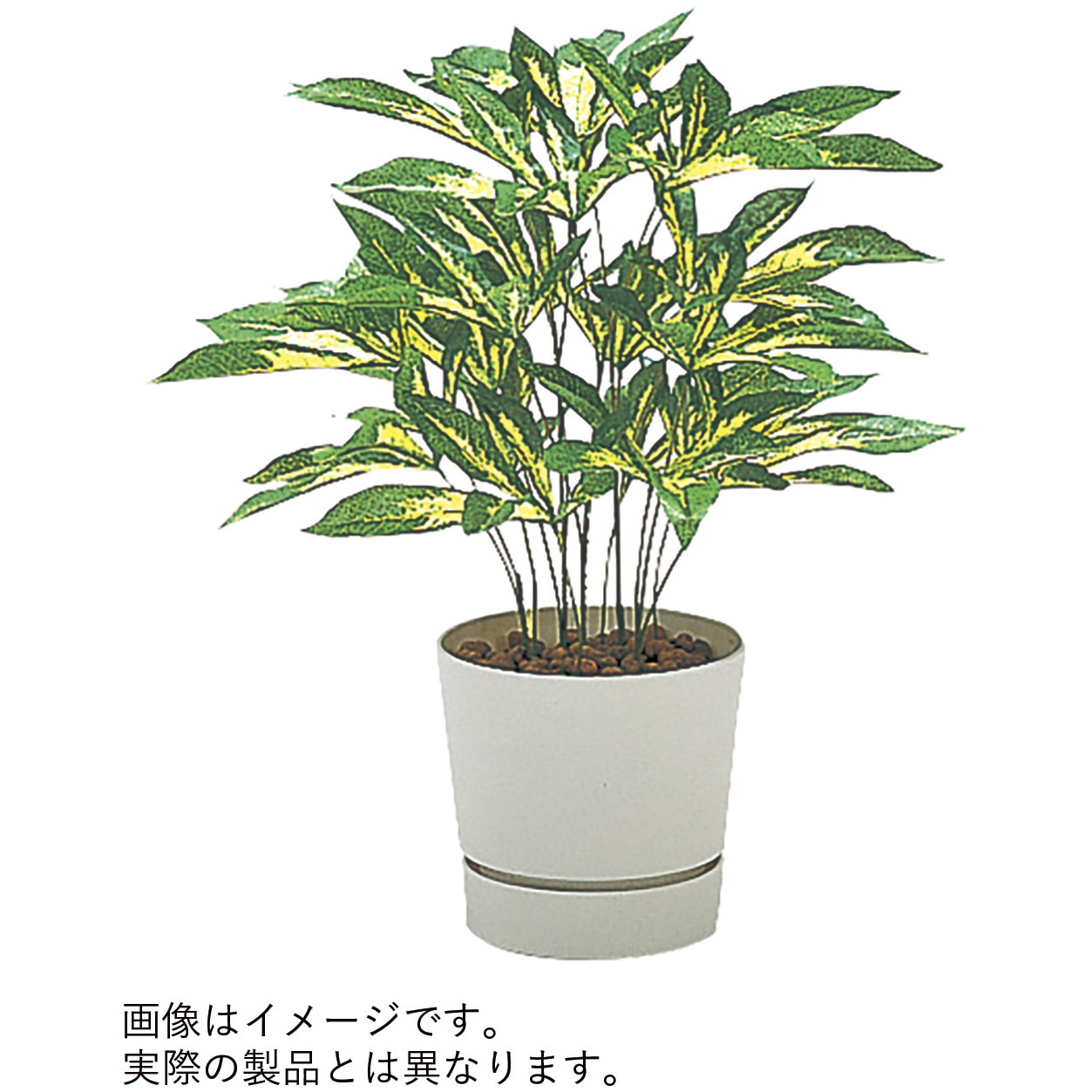 VWR-254 人工樹木カレン 斑入りスパイダー H400<配送時組立サービス付> イトーキ 奥行330mm幅330mm  VWR-254 15,385円