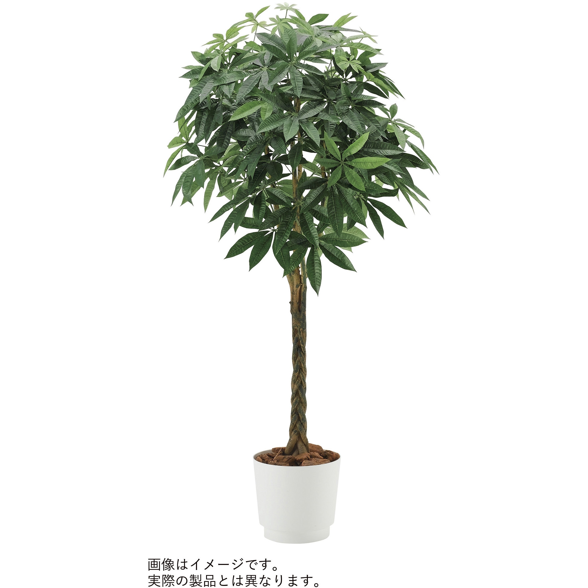 VWR-363 人工樹木カレン パキラ  H1900<配送時組立サービス付> イトーキ 奥行700mm幅700mm  VWR-363