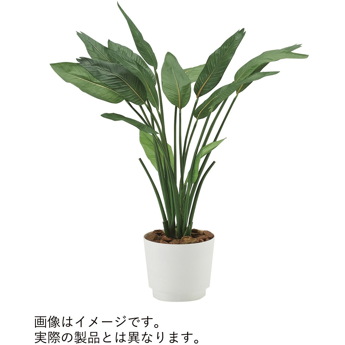 VWR-392 人工樹木カレン ストレチア ダブル<配送時組立サービス付> イトーキ 幅800mm奥行800mm  VWR-392