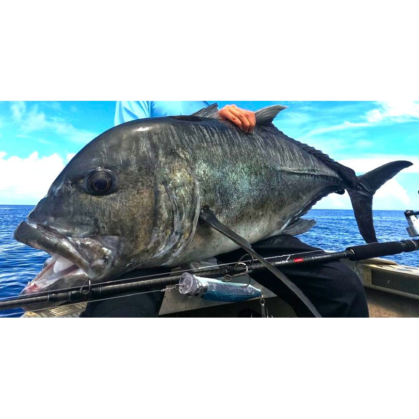 ダイビング Pt950ピンクダイヤモンド0.379ct リング（FANCY DEEP BROWNISH