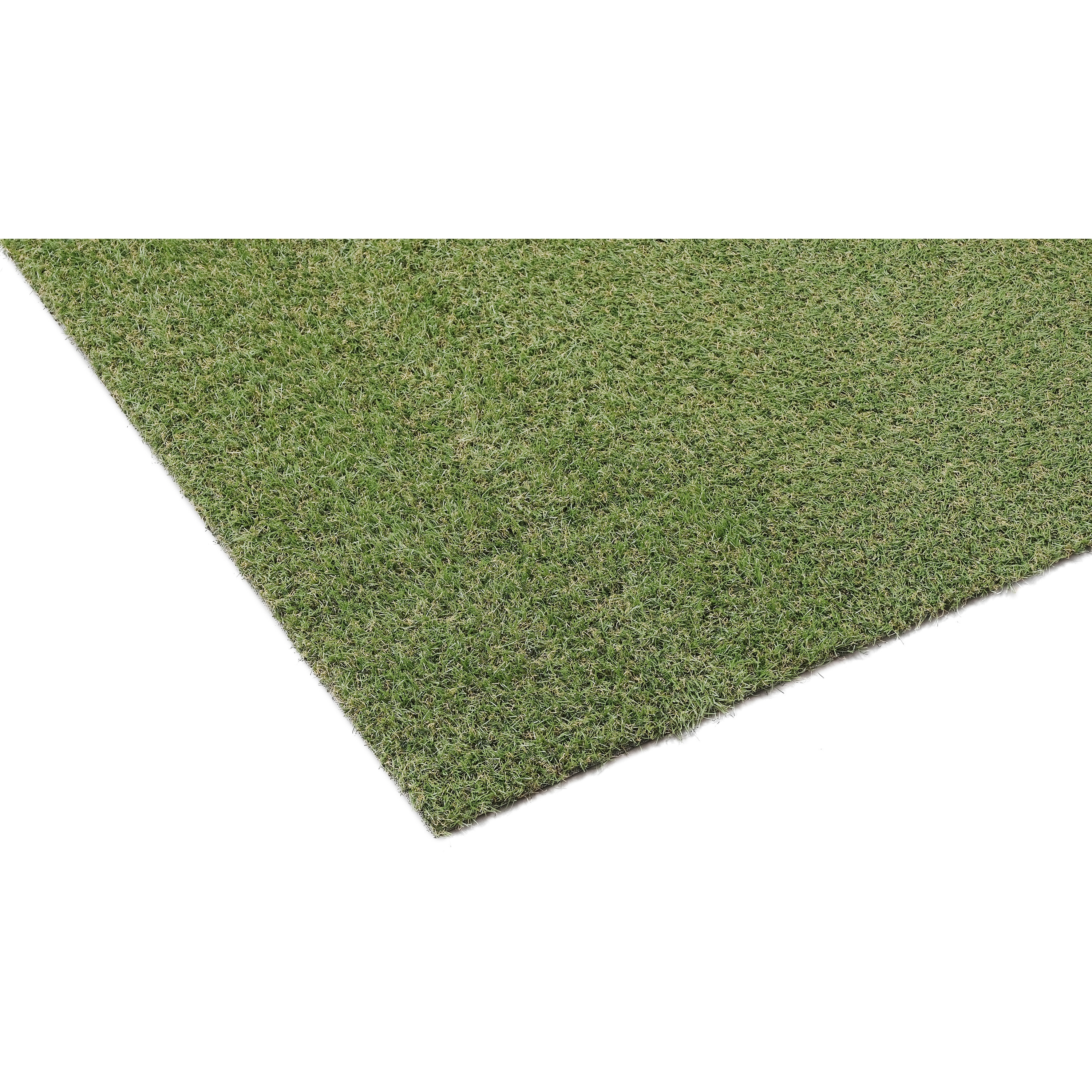 CT-30210R ロングパイル人工芝 2m×10m 1本 アイリスオーヤマ 【通販