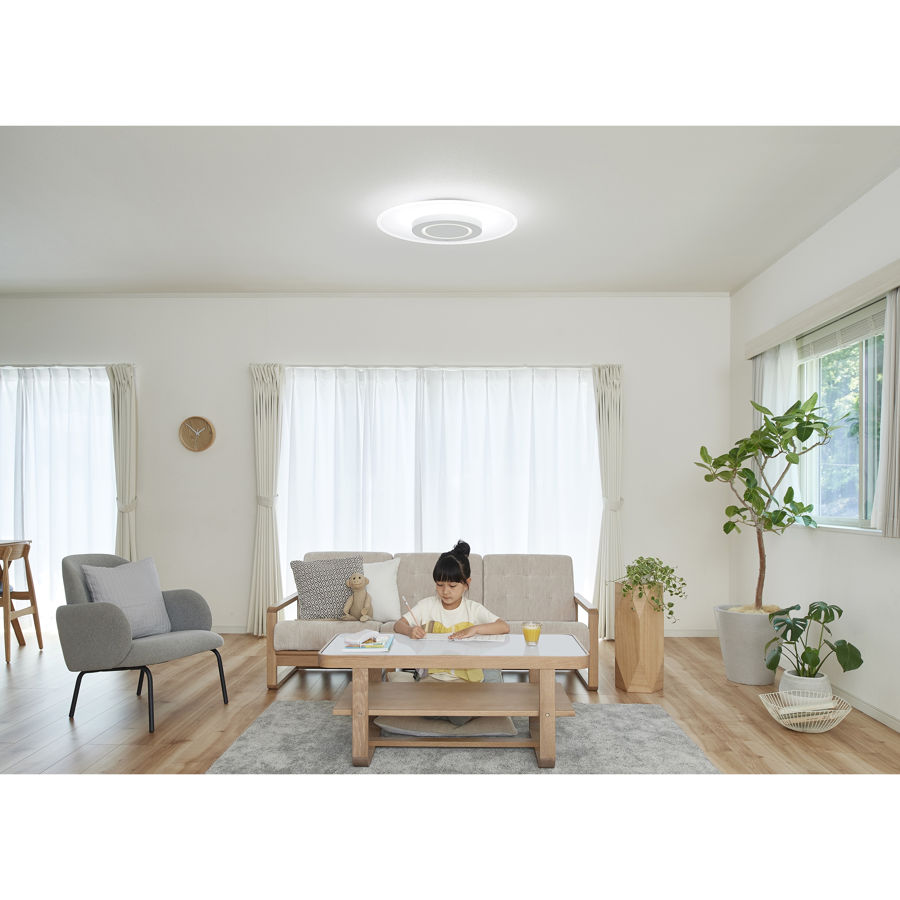 CEA-A12DLP LEDシーリングライト 導光板 アイリスオーヤマ 電球 CEA-A12DLP LEDシーリングライト 導光板 アイリスオーヤマ 電球