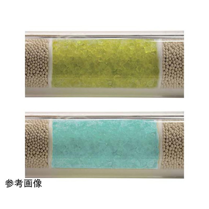 202238D-B CRSガス精製フィルター SPure(TM) インジケータ搭載 H(TM)O S.G.E 1本 202238D-B