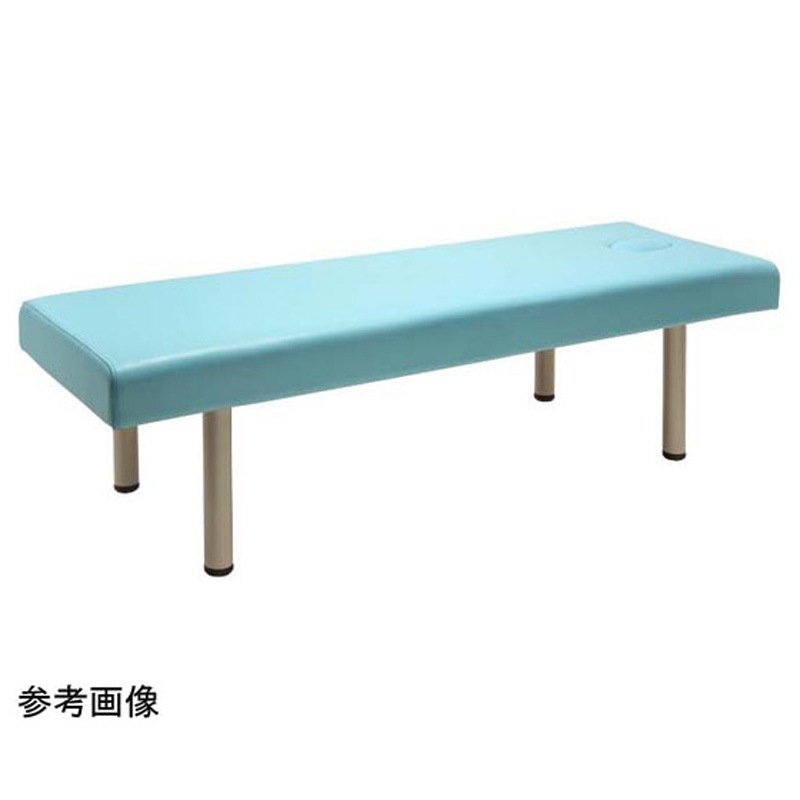 FV-215B-BL-W65-H55 診察台ベッド[有孔タイプ]ブルー FV-215B-BL-W 