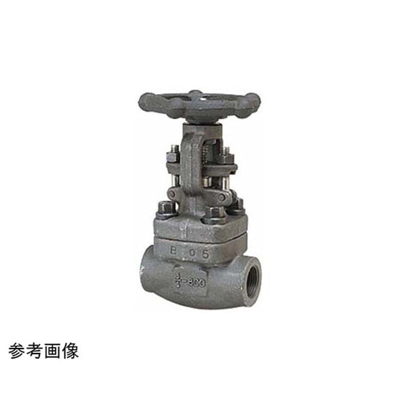 S800-SF-SR-DS 20A 鍛鋼 ゲート S800-SF-SR-DS S800-SF-SR-DSシリーズ 1個 東洋バルヴ 【通販モノタロウ】 20,705円