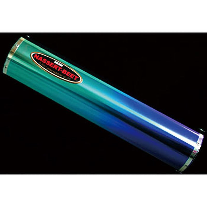 0254-K99-AB New N-R S/O TI/BL(H-Gツキ)ZRX1200 DAEG 1個 BEET 【通販モノタロウ】