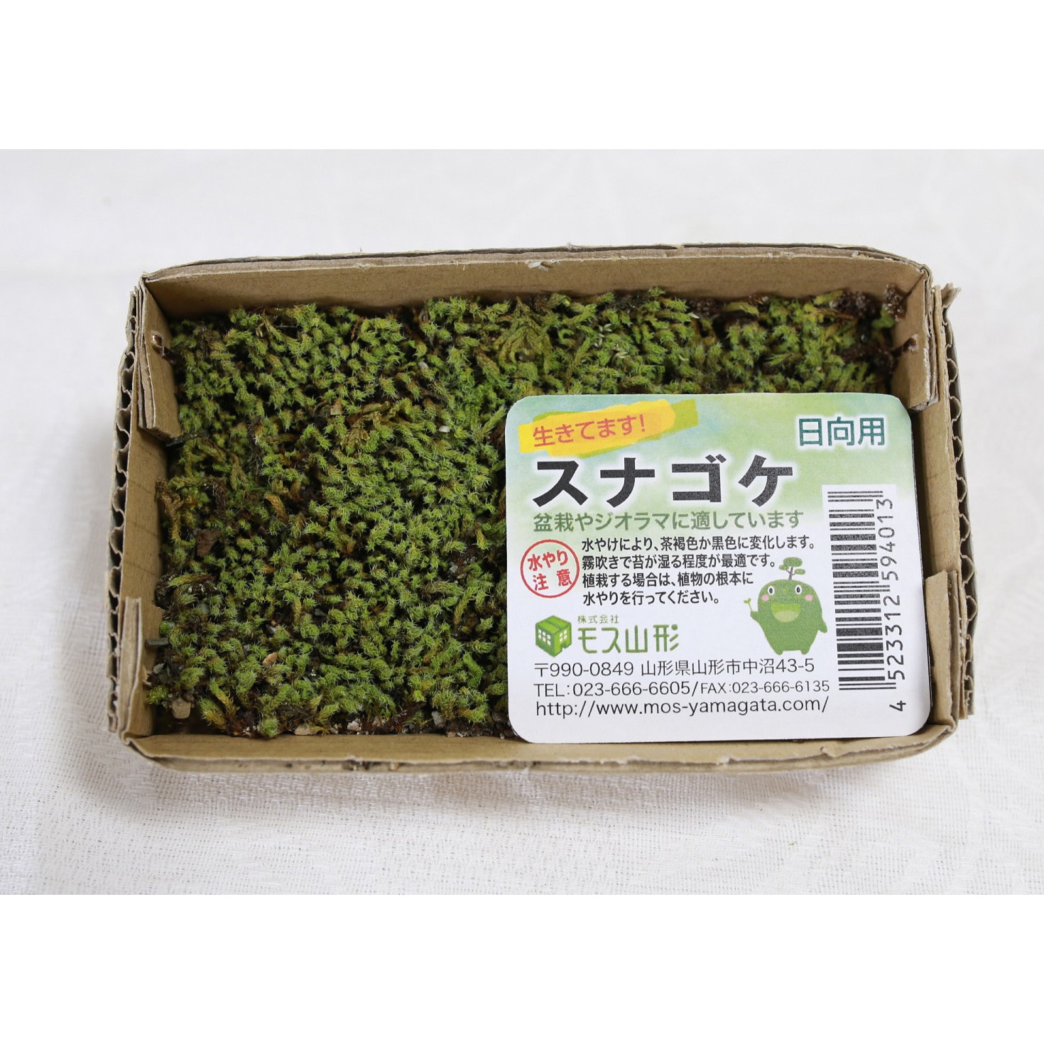 MS-15 盆栽用苔 スナゴケ 1個 モス山形 【通販モノタロウ】