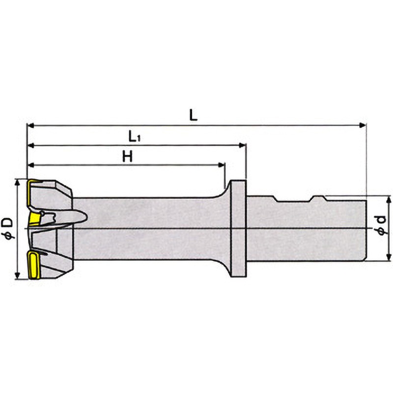 PH D50-H100-W32-13 カッタ 1個 イスカル 【通販モノタロウ】