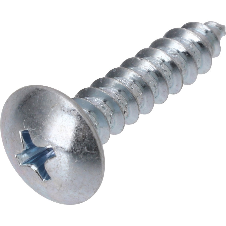 ぷてらす 5×25 (+)トラス頭タッピングネジ(鉄/ユニクローム) 大阪魂 十字穴番号