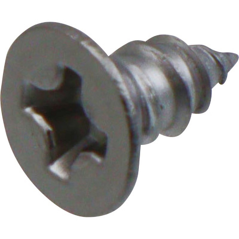 M3×6 (+)皿頭タッピングネジ(ステンレス) 大阪魂 十字穴番号#2 呼びM3