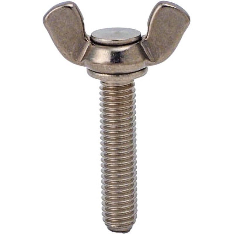 蝶 楽天市場】アゲハ蝶（ホビー）の通販