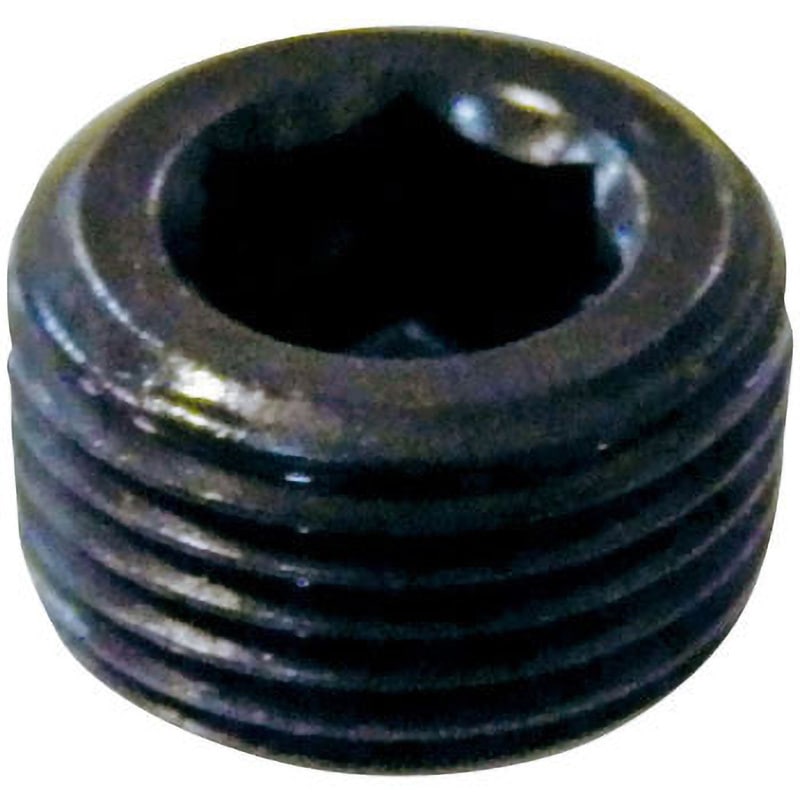 サラＣＡＰ（ＧＯＳＨＯ 表面処理(ユニクロ（六価-光沢クロメート） ) 規格(8X85) 入数(100) サラＣＡＰ（ＧＯＳＨＯ 表面処理(ユニクロ（六価-光沢クロメート