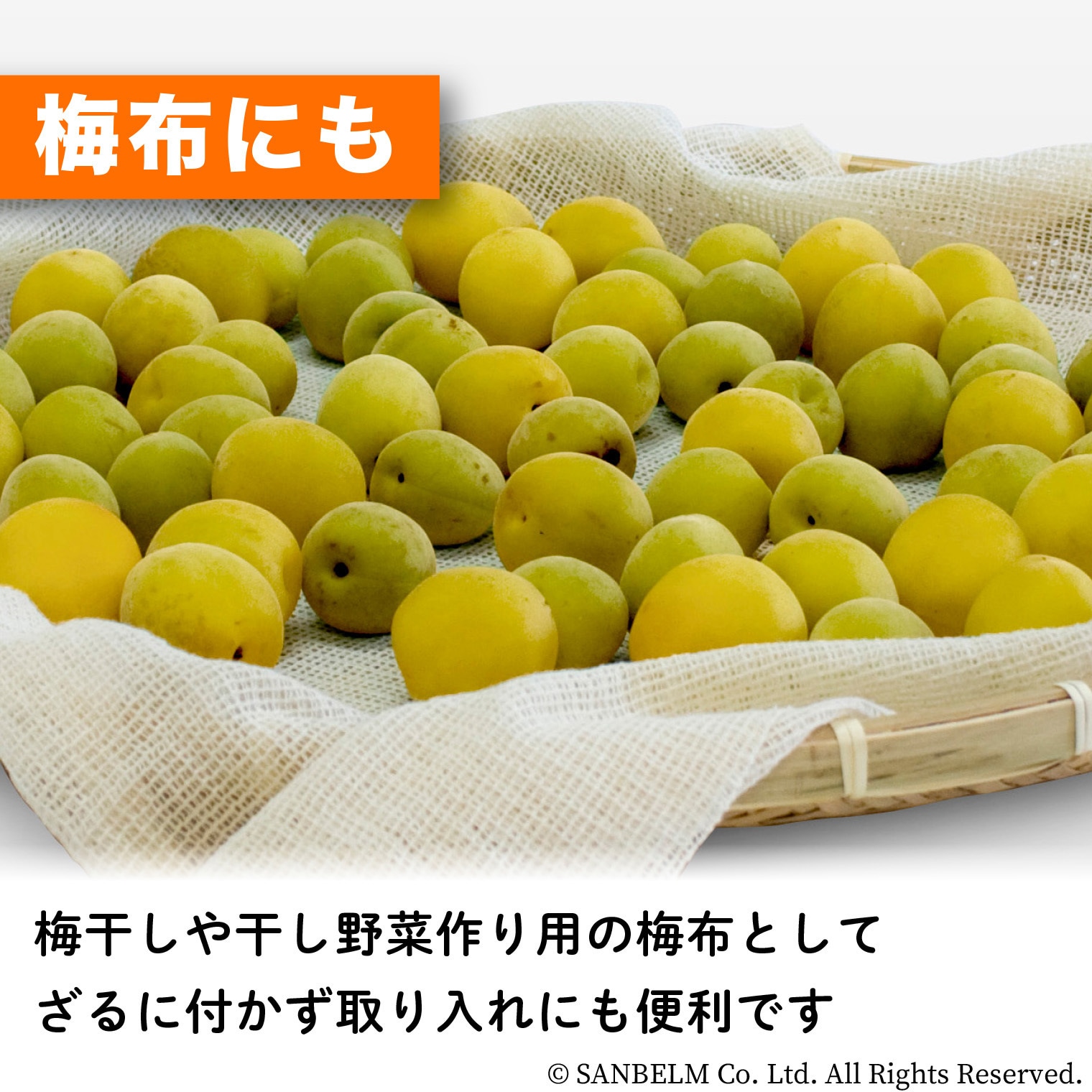 K42129 蒸し布 サンベルム 綿100%製 【通販モノタロウ】