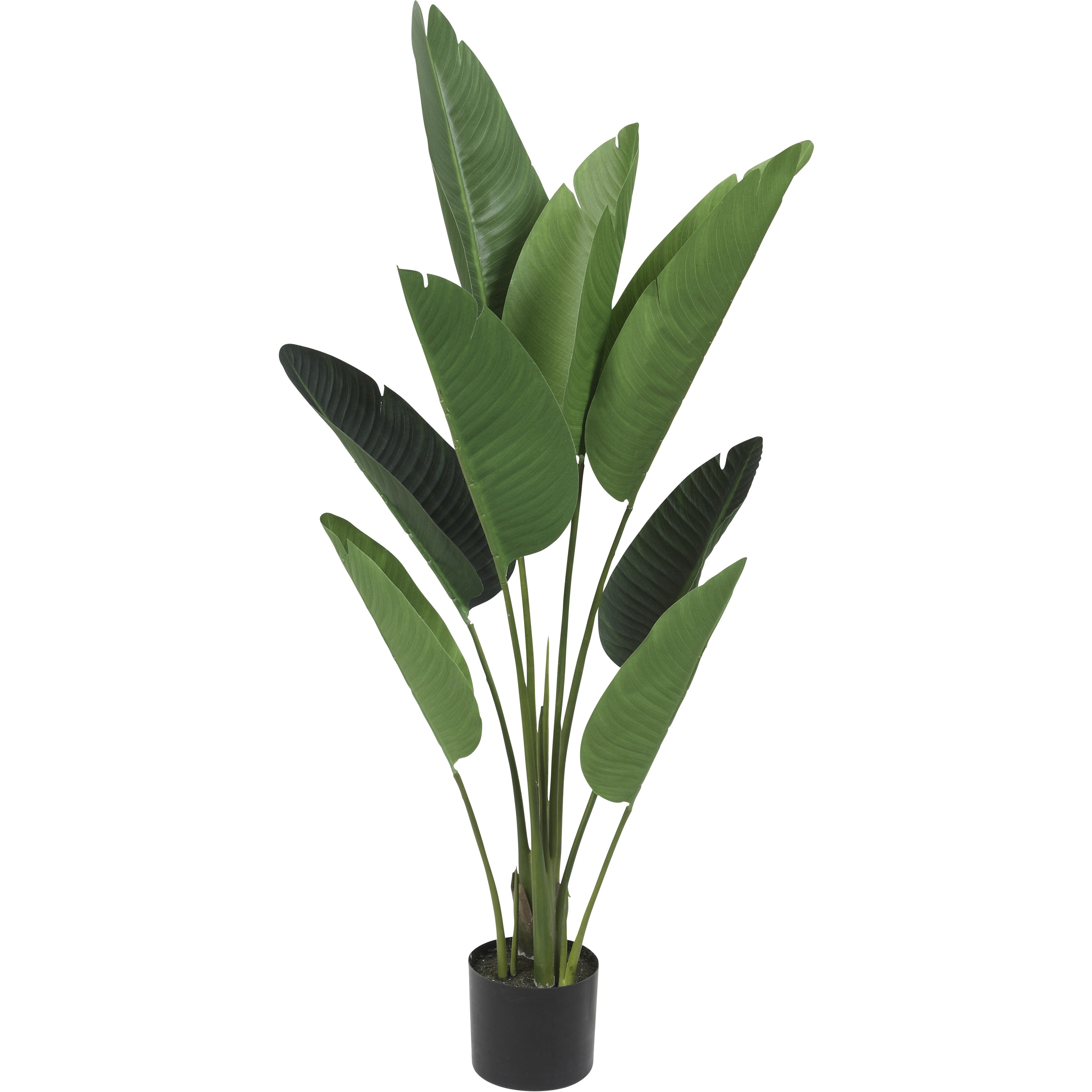 TB1828-12 オーガスタ 1個 FRECCE 【通販モノタロウ】