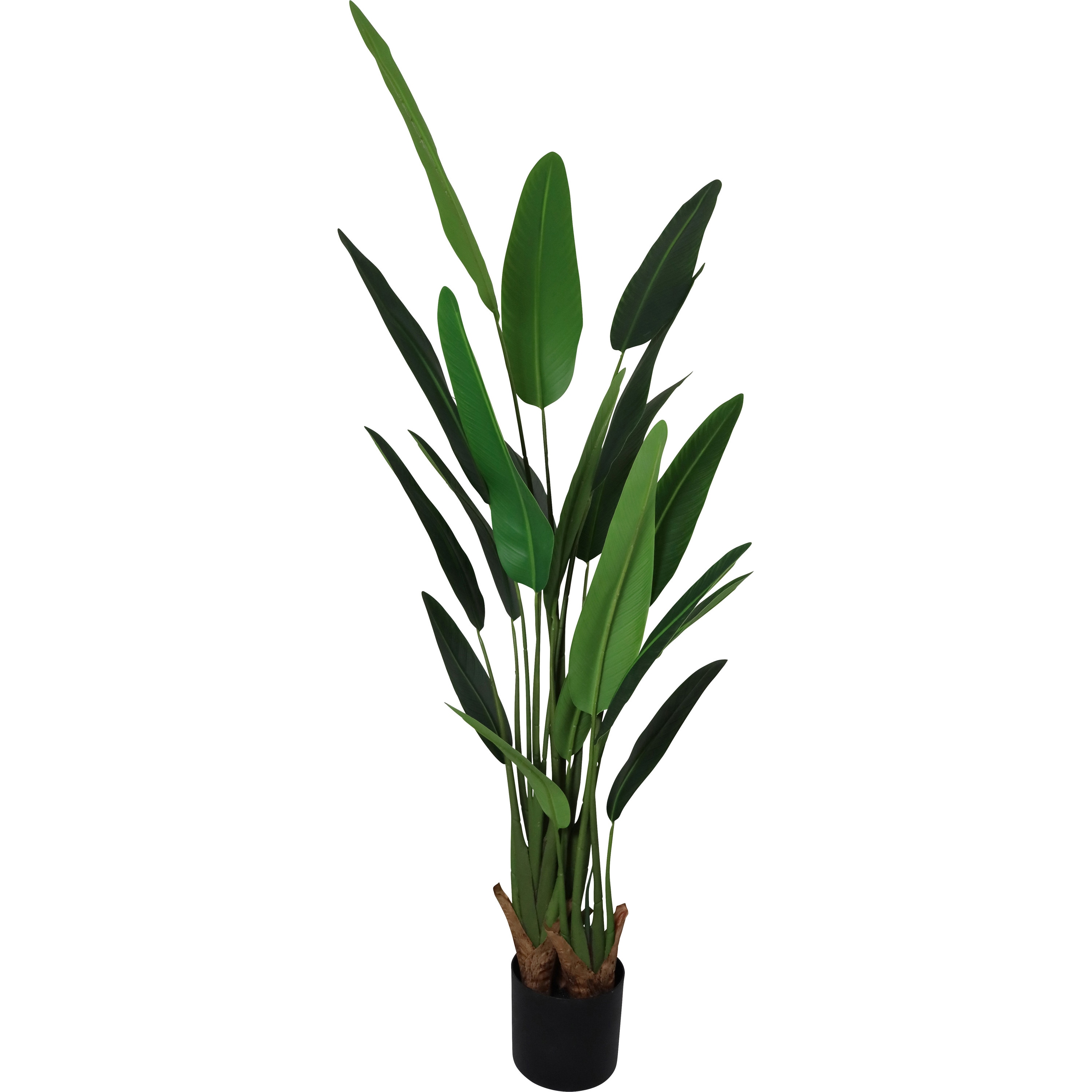 TB1929 ストレチア 1個 FRECCE 【通販モノタロウ】