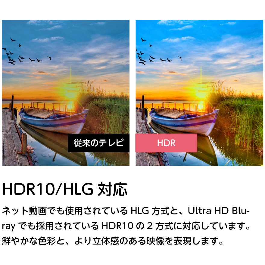 OLS50RD10 4K対応・HD・FHD スマートテレビ SMART TV series 1台
