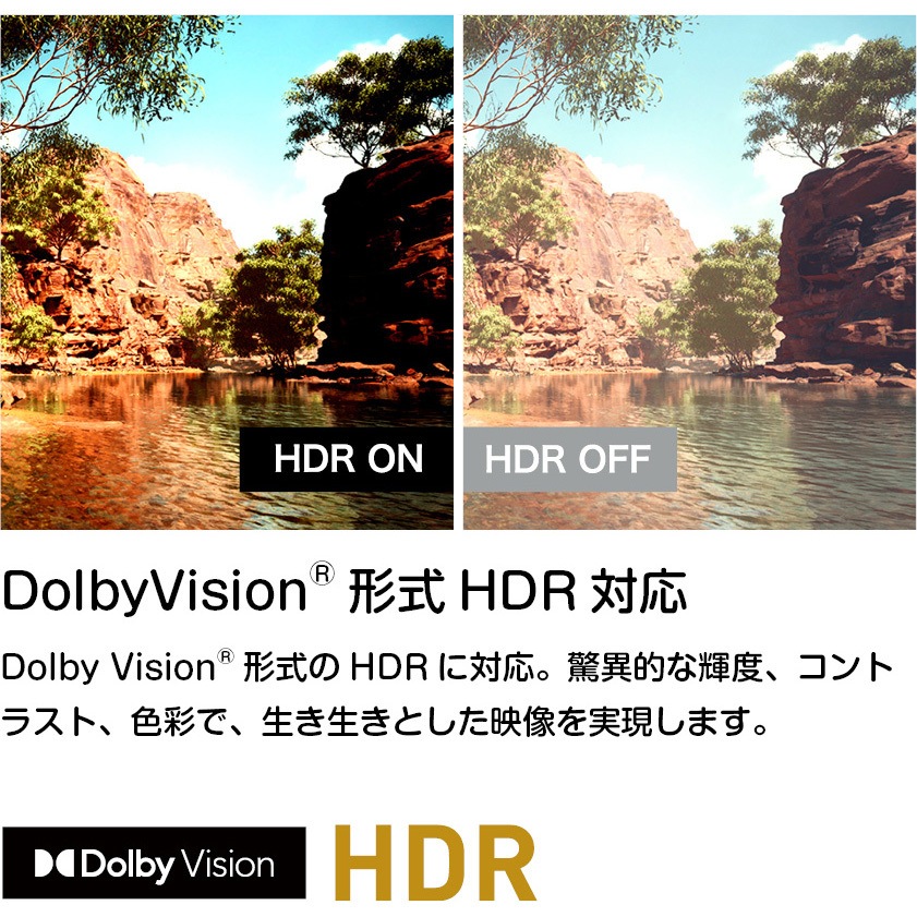OLS50RD10 4K対応・HD・FHD スマートテレビ SMART TV series オリオン