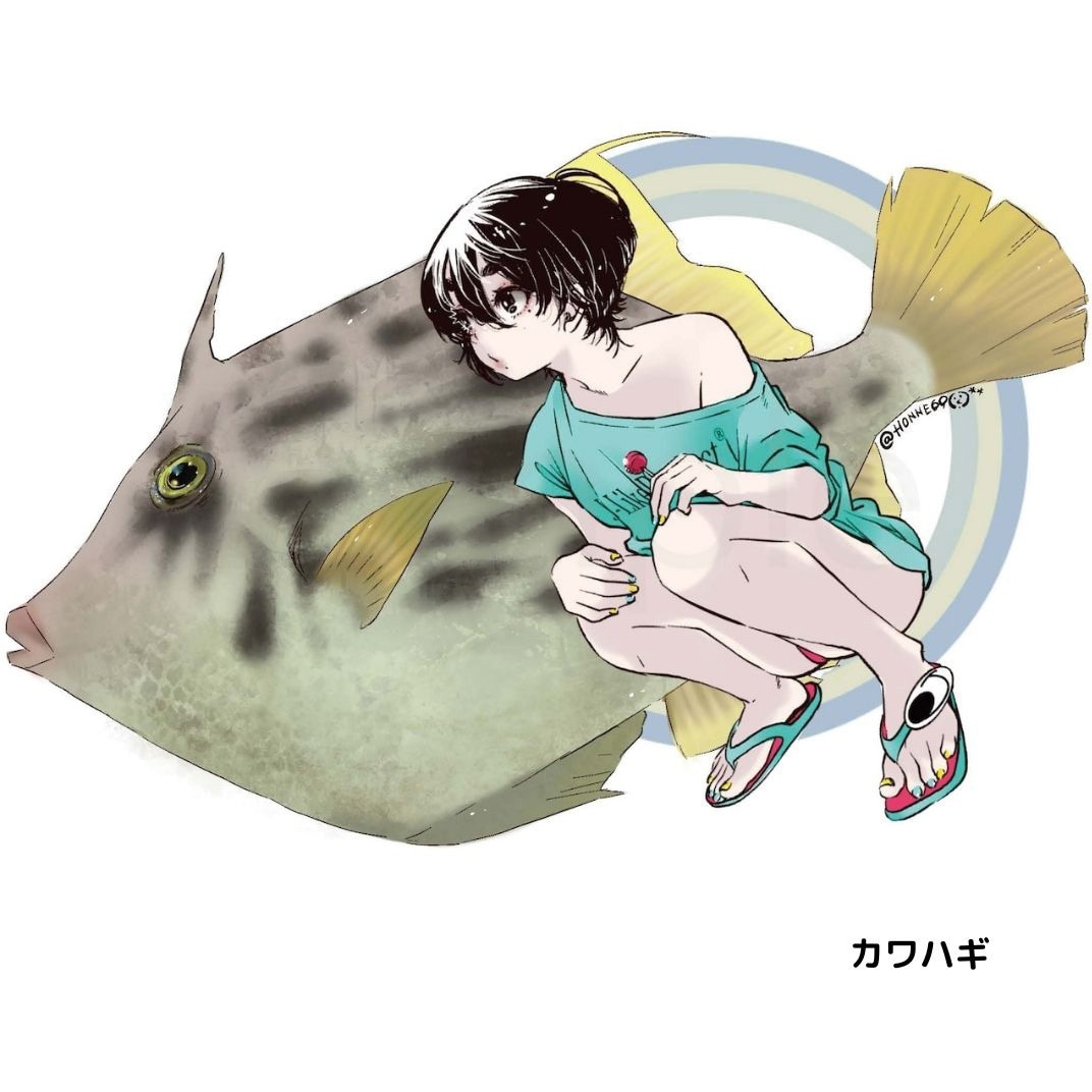 美品！フィッシュ！JSシャドーシェイパー！SODAシェイプ！美 JS サーフボード(JS Industries)の人気モデルを徹底解説