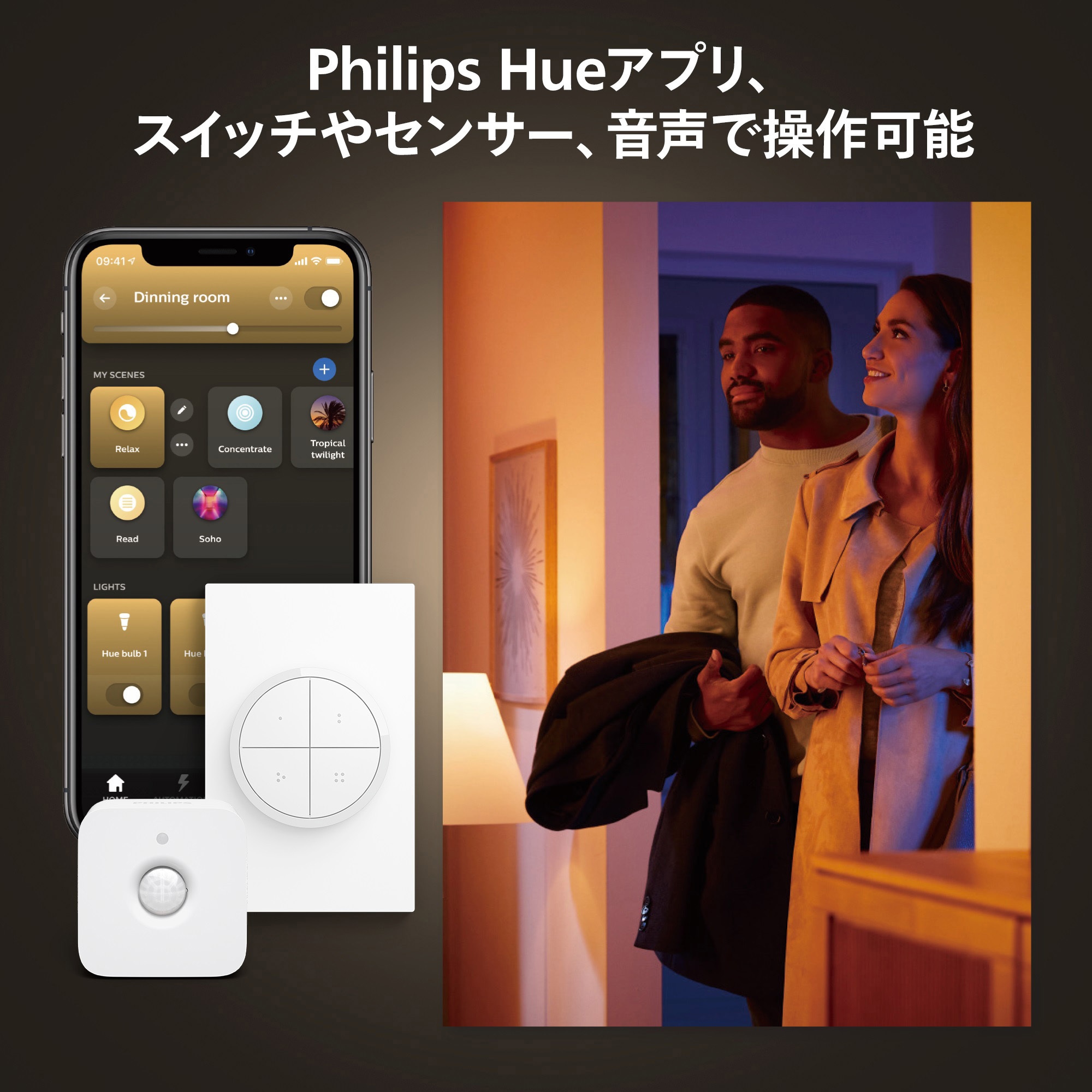 PHLG-ST72 Philips Hue ライトガイド E26 1個 フィリップス 【通販