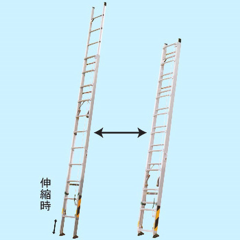 二連伸縮はしご ピッチ 縮長3.56m 全長5.80～6.1m