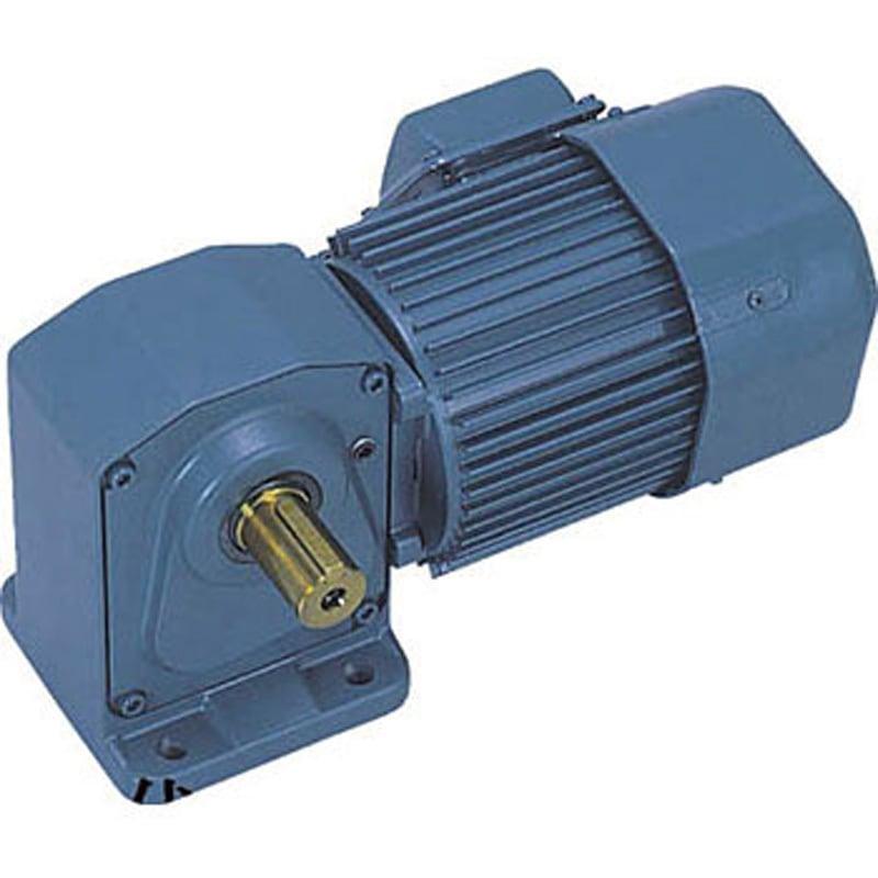 シグマー技研 平行軸単相100W脚取付形減速機 SML2-01-60 □シグマー 平行軸単相100W脚取付形減速機 SML20160(4354448)[法人