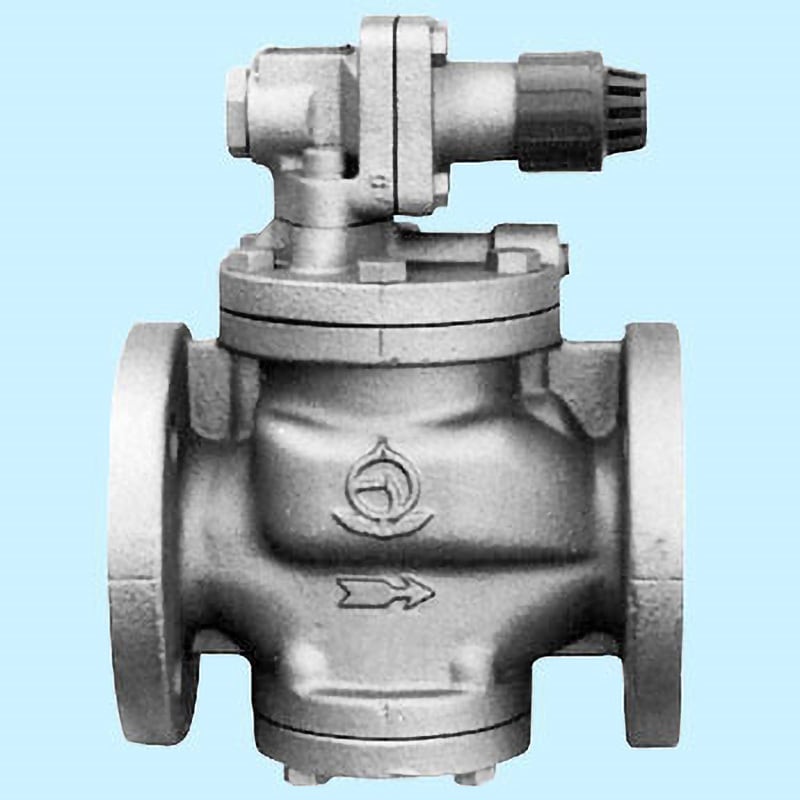 ベン RP6-G 弁天 FC/SUS減圧弁 フランジ 蒸気用 0.03〜0.8MPa 20A