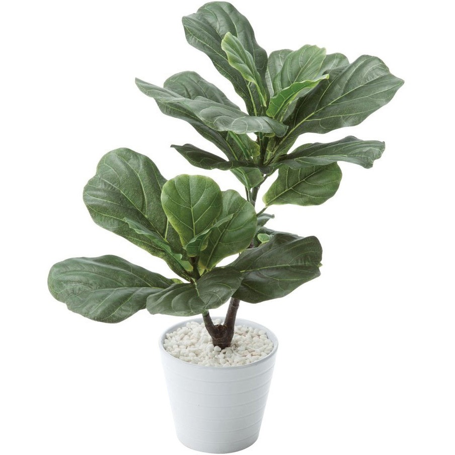 6-401-0108 オフィスグリーンポット 内田洋行 カシワバゴムタイプ   6-401-0108